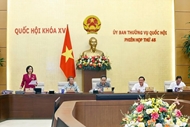 Resolution on People’s Councils’ election structure issued